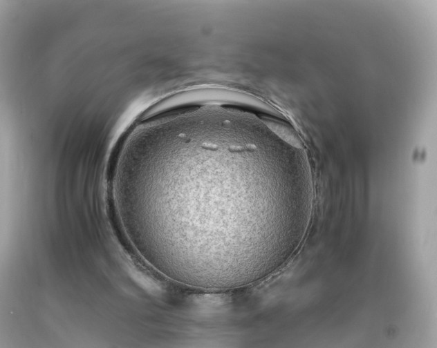 X0000092000102200709131522