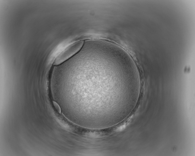 X0000092000103200709131522