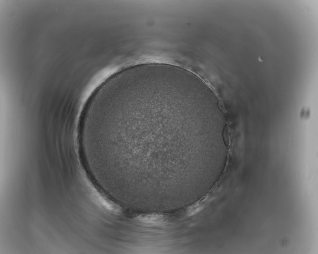 X0000092000104200709131522