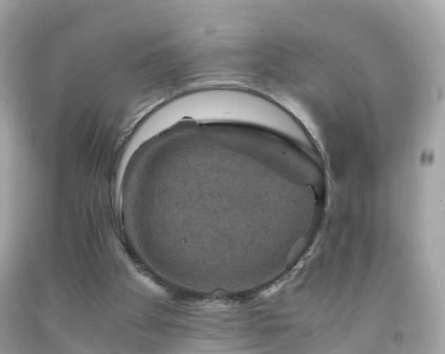 X0000092000105200709131522