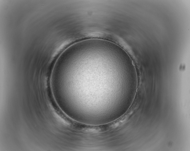 X0000092000106200709131522