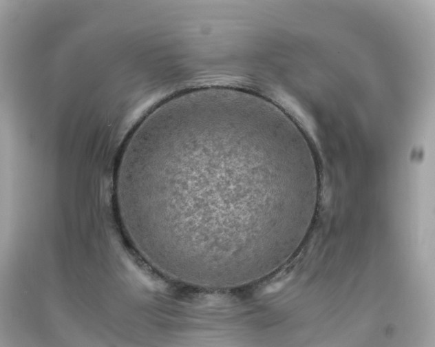 X0000092000107200709131522