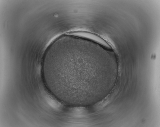 X0000092000108200709131522