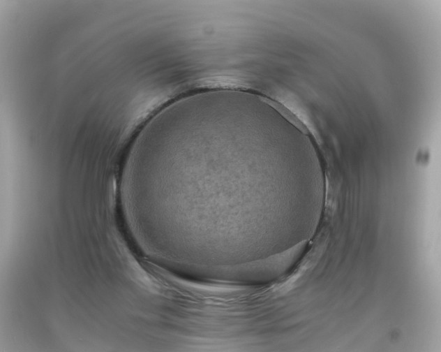 X0000092000109200709131522