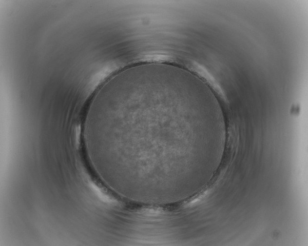 X0000092000110200709131522