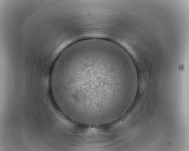 X0000092000111200709131522