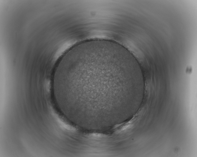 X0000092000112200709131522