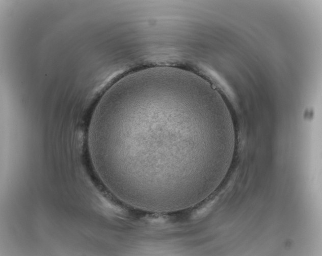 X0000092000113200709131522