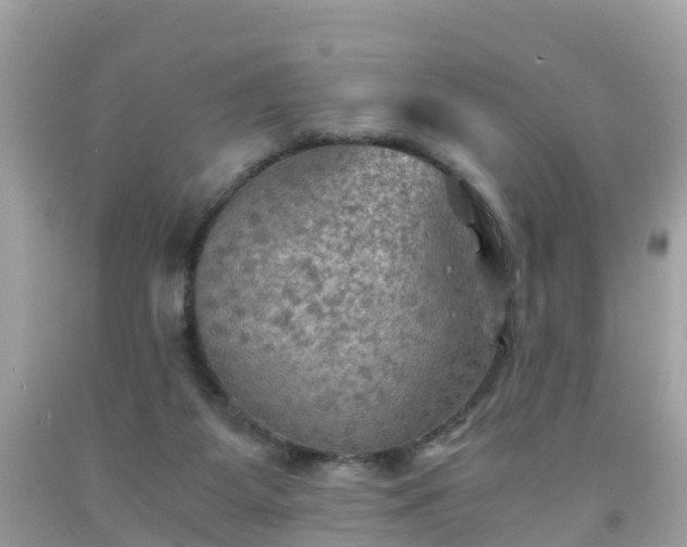 X0000092000115200709131522