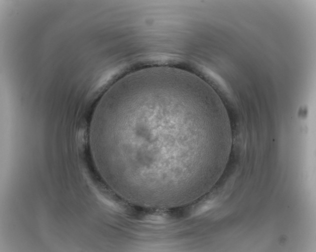 X0000092000119200709131522