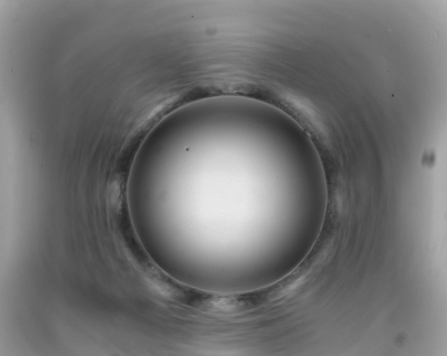 X0000092000121200709131522