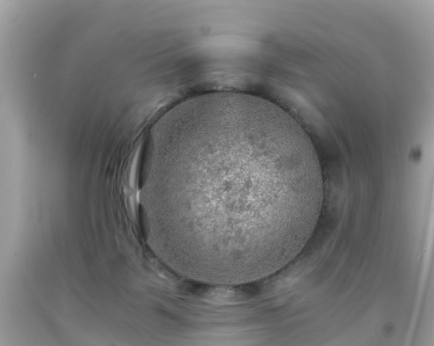 X0000092000123200709131522