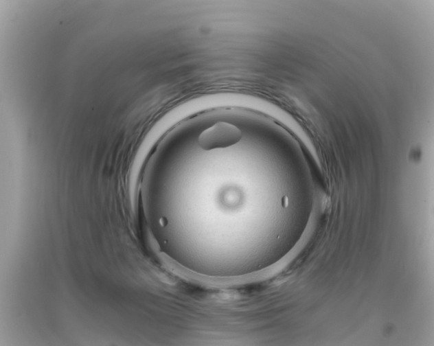 X0000092000125200709131522