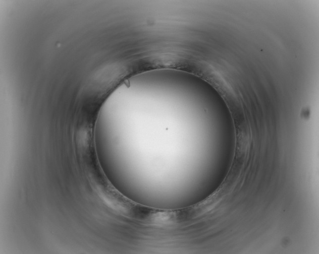 X0000092000126200709131522