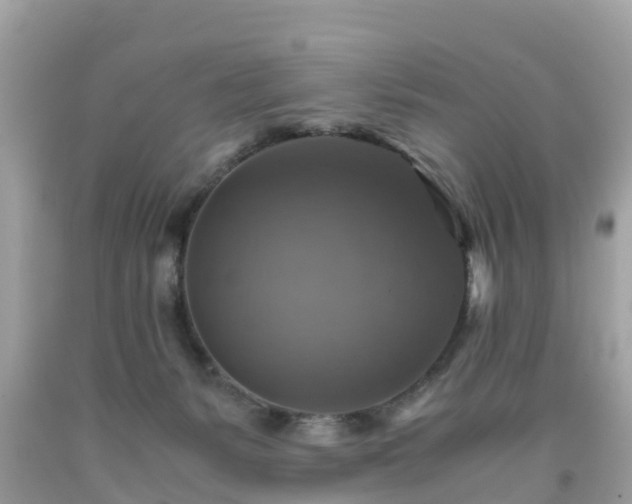 X0000092000127200709131522