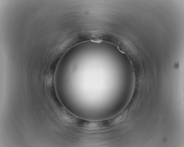 X0000092000129200709131522