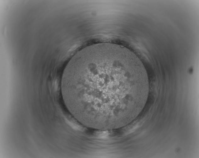 X0000092000131200709131522