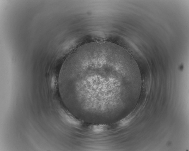 X0000092000134200709131522