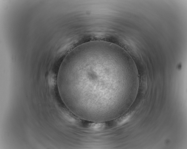 X0000092000135200709131522