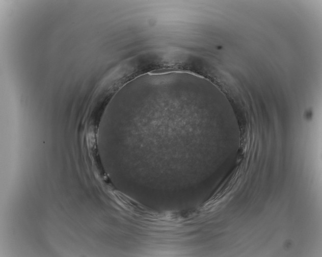 X0000092000137200709131522