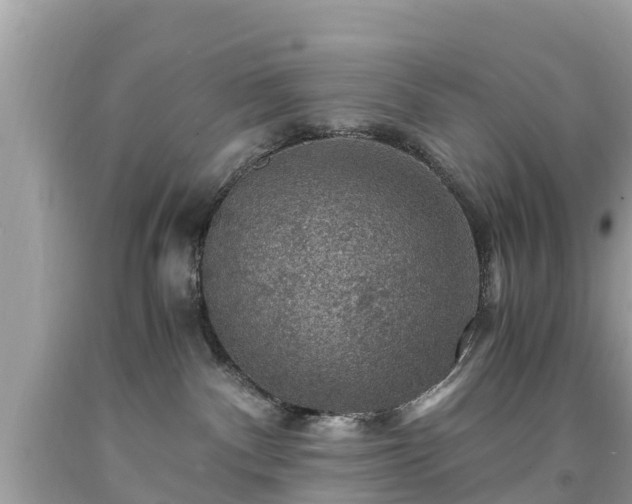 X0000092000140200709131522