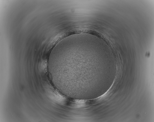 X0000092000144200709131521