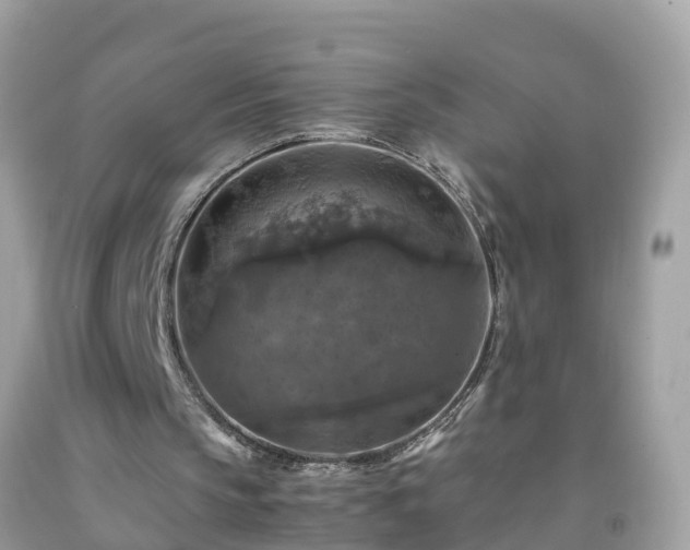 X0000092000145200709131521