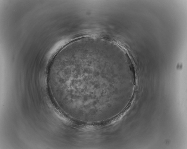 X0000092000149200709131521