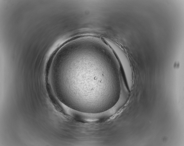 X0000092000150200709131521