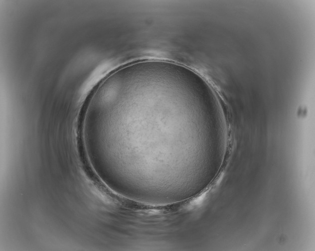 X0000092000151200709131521