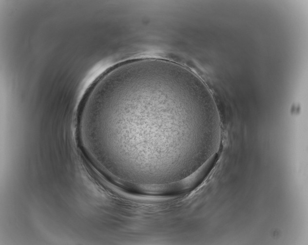 X0000092000152200709131521