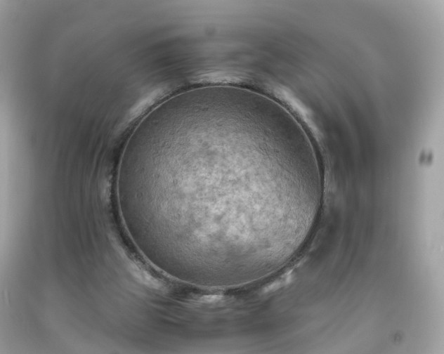 X0000092000153200709131521