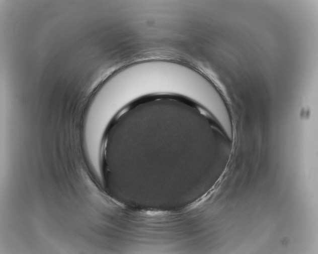 X0000092000154200709131521