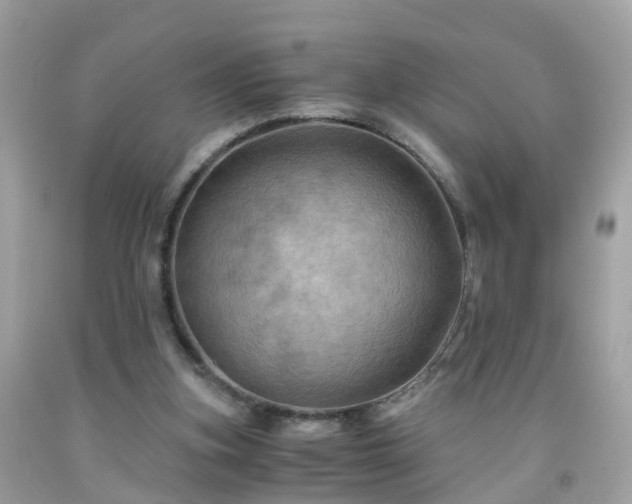 X0000092000155200709131521