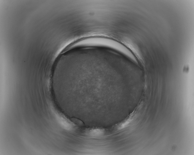 X0000092000156200709131521