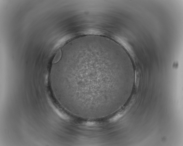 X0000092000157200709131521