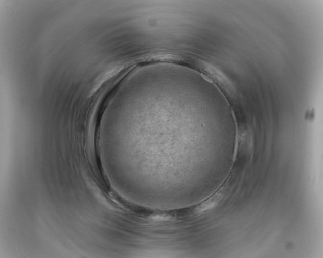 X0000092000158200709131521