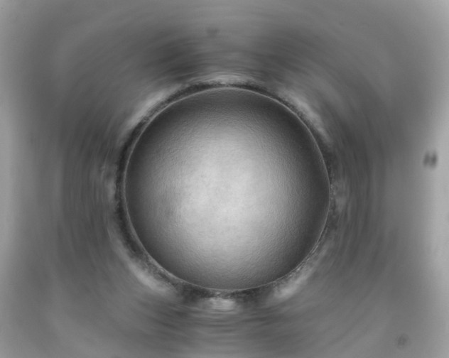 X0000092000159200709131521