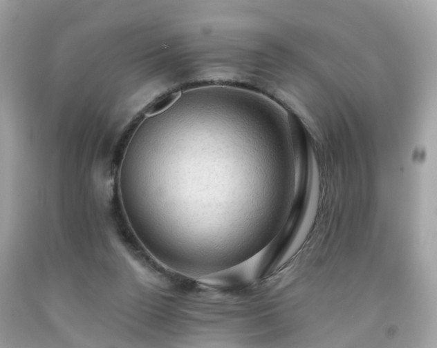 X0000092000160200709131521