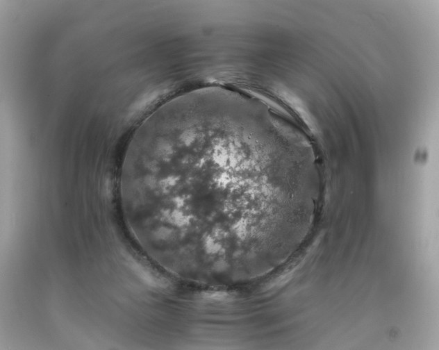 X0000092000161200709131521