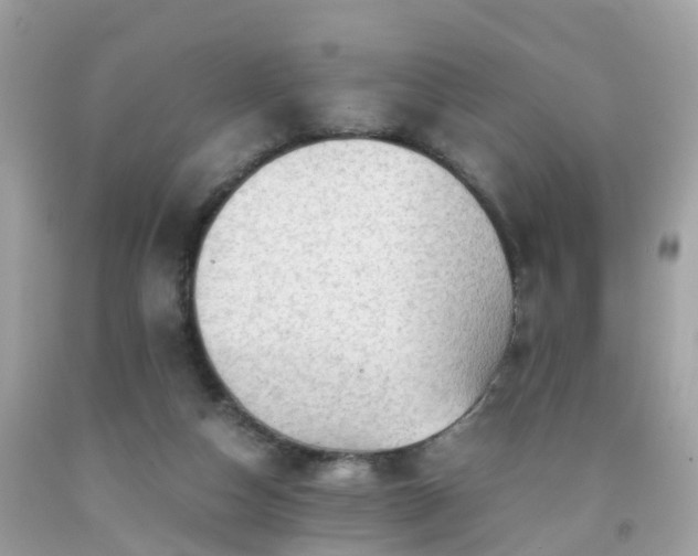 X0000092000162200709131521