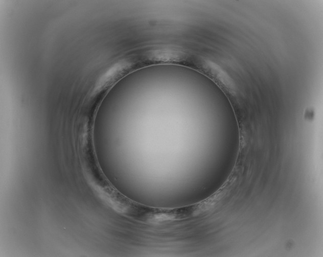 X0000092000163200709131521