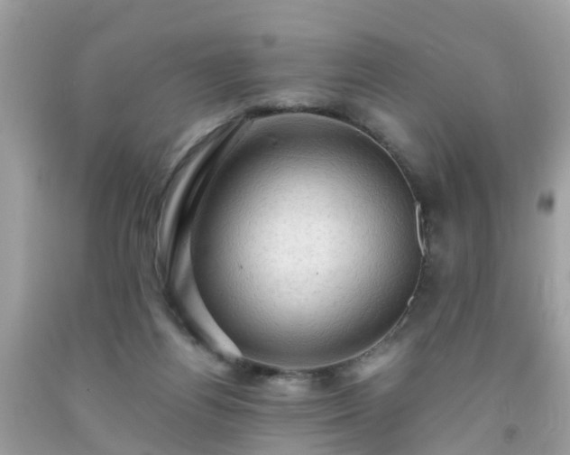 X0000092000164200709131521