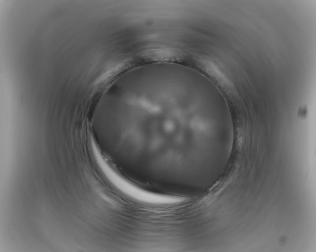 X0000092000165200709131521