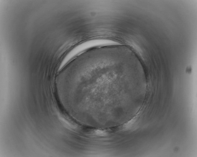 X0000092000166200709131521