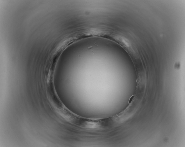 X0000092000167200709131521