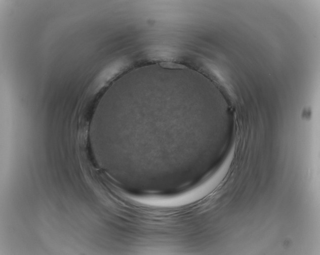 X0000092000168200709131521