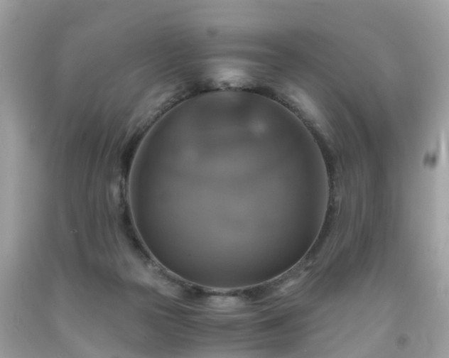 X0000092000169200709131521