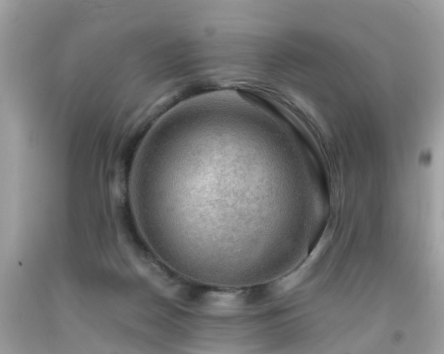 X0000092000170200709131521