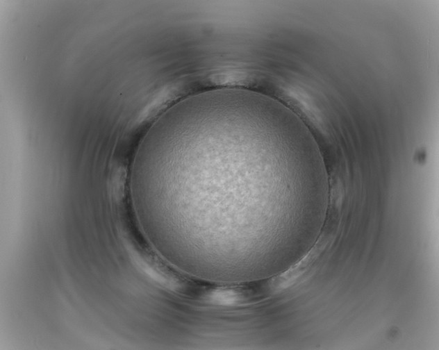 X0000092000171200709131521